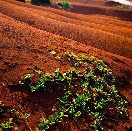 《ISEKI》9月登陆Steam 自动战斗3D迷宫探索